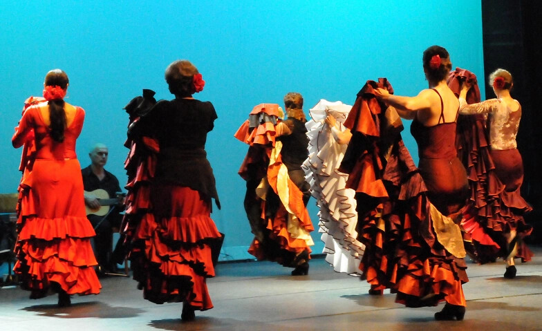 Fiesta de Rosas