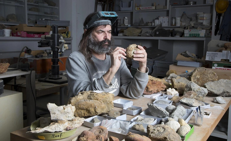 Führungen hinter die Kulissen: Die schönsten Fossilien
