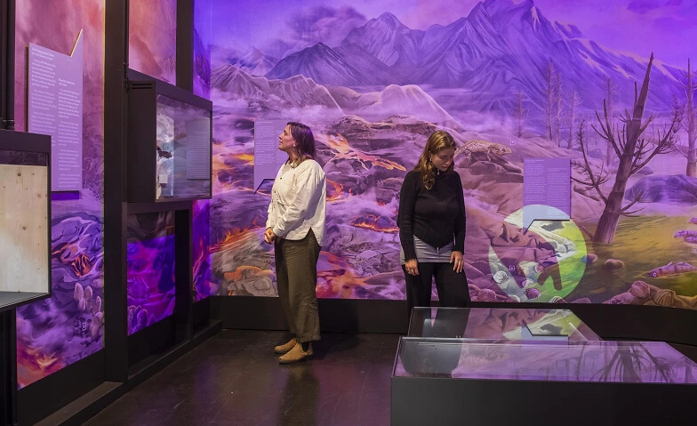 Ausstellungsführung «Mensch, Erde! – Das Klima im Wandel»