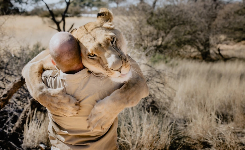 Löwenland - Leben mit Sirga in Botswana - Explora Live Show