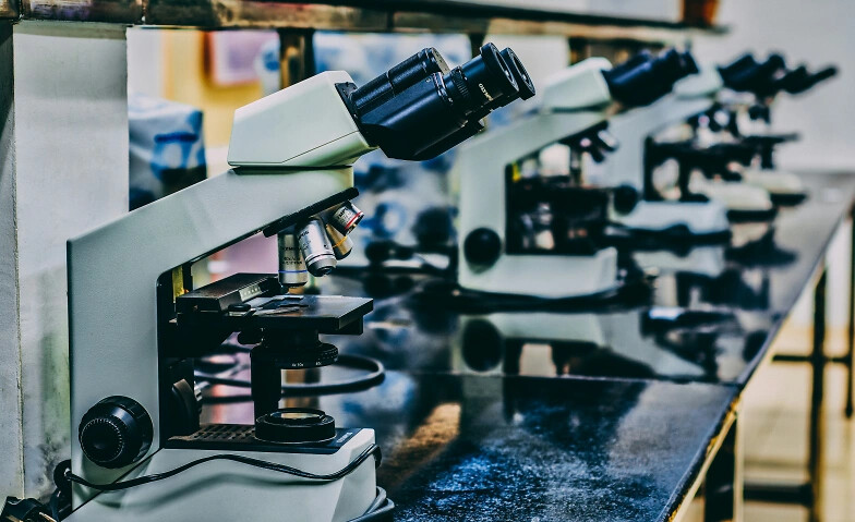 EndoWeek – Forschung und Innovation bei Endometriose