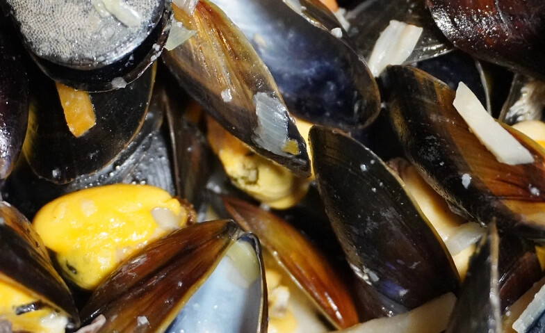 Moules et Frites in der Fischerhütte Zürihorn