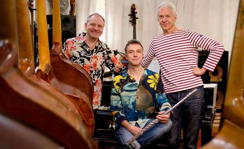 Trio Pintassilgos