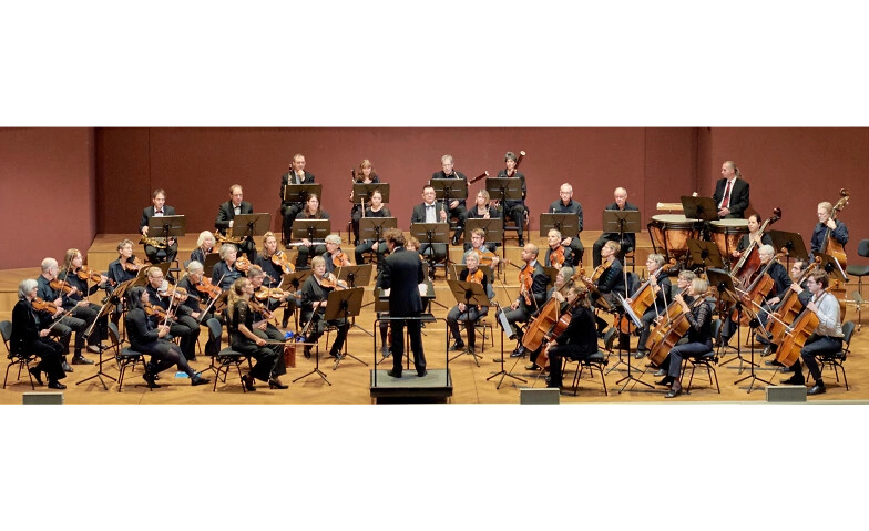 Sinfoniekonzert Sonntag, 22. November 2026