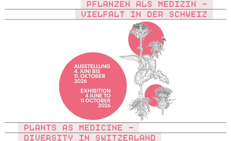 Führung: Pflanzen als Medizin - Vielfalt in der Schweiz