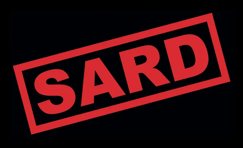 SARD & God in Therapy – Live in Concert + Afterparty Karaoke