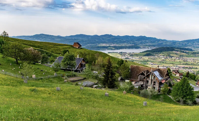 Regenerative Agrikultur – muss man erlebt haben