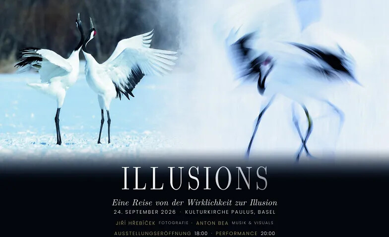 Illusions