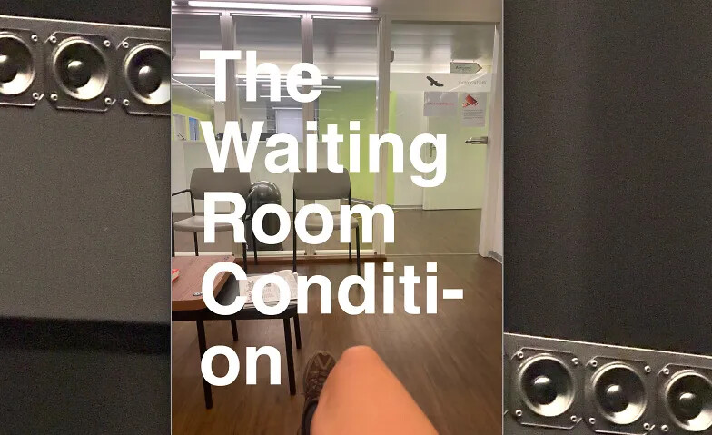 The Waiting Room Condition (Masterproject M.Miccichè 2026)