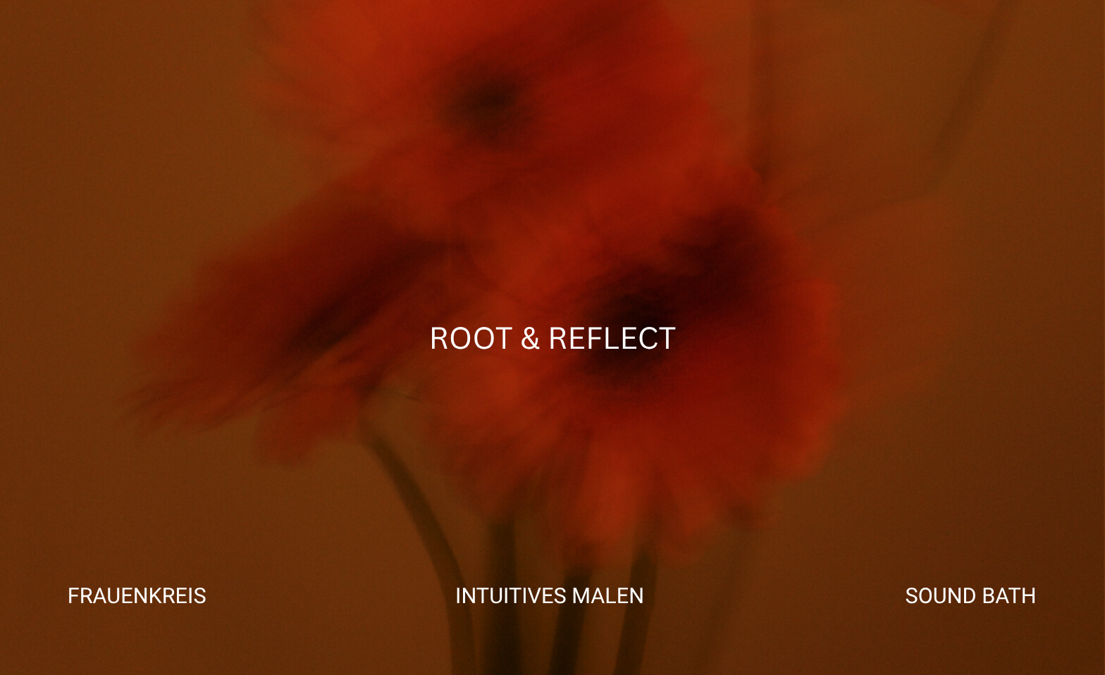 Root & Reflect