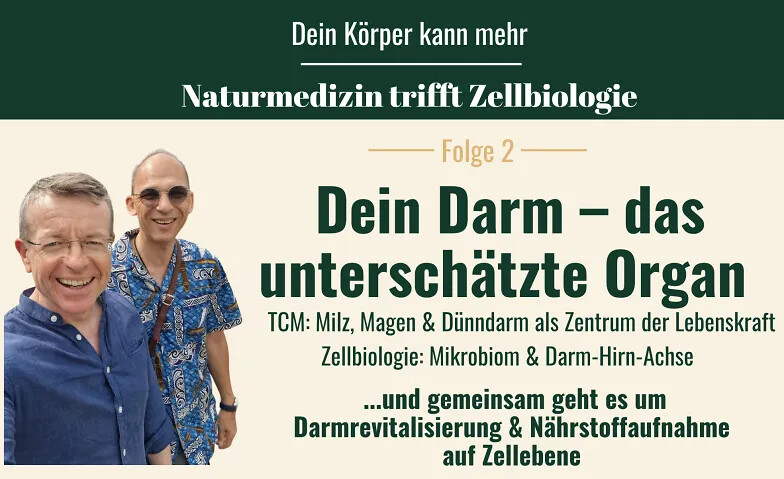 Dein Darm – das unterschätzte Organ