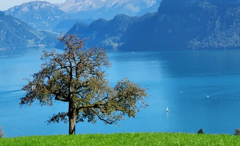 Wanderung für Seniorinnen und Senioren