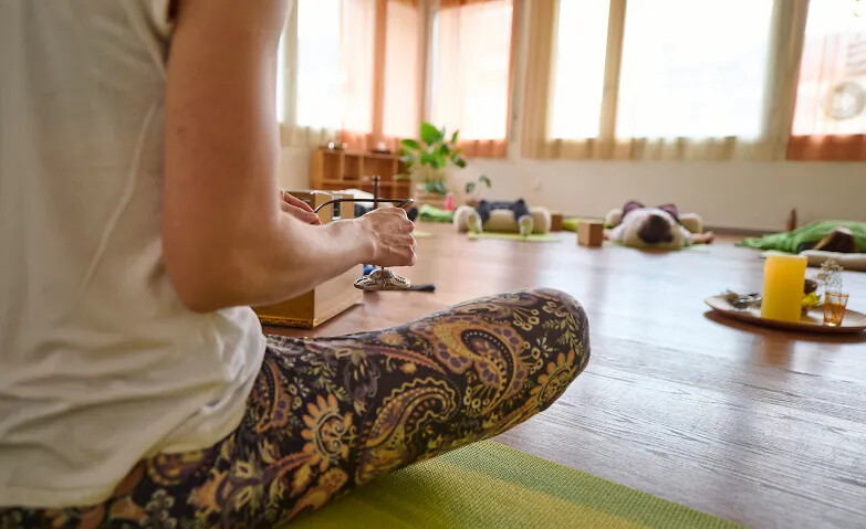 25h Embodied Nervous System Yoga Teacher Training