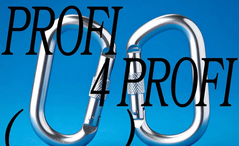 PROFI4PROFI – Masterclasses für Kulturschaffende