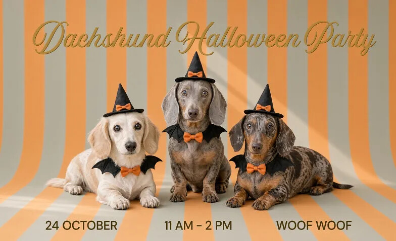 Dachshund Halloween Party