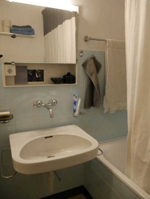 1-Zimmer-Wohnung im Juni