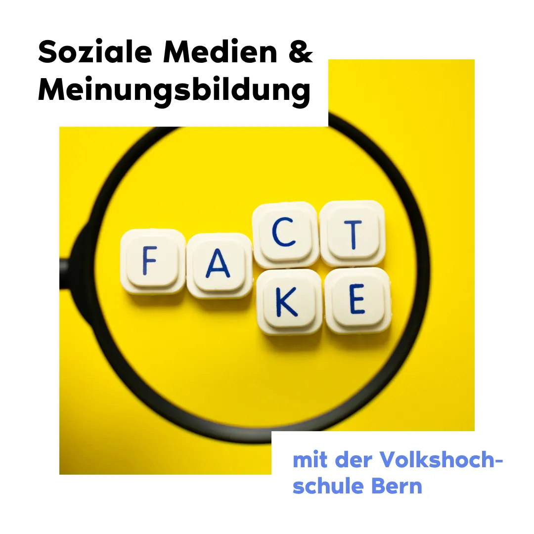Kurs: Filterblasen, Echokammern und Influencer:innen? Zur Rolle von sozialen Medien für die Meinungsbildung