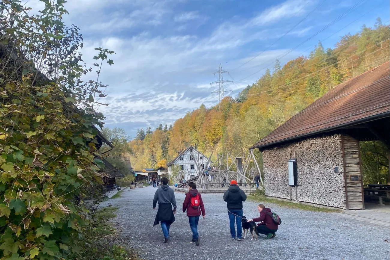 Gratis in die Sihlwald-Ausstellung am Saisonausklang