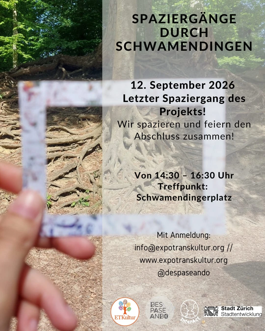 Spaziergang Durch Schwamendingen: LAST WALK!