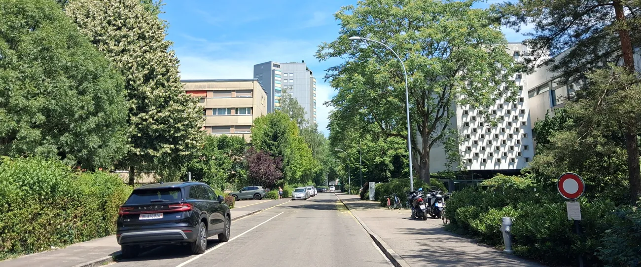 Luege, lose, bewege! Strassenraum aus Sicht künftiger Generationen...