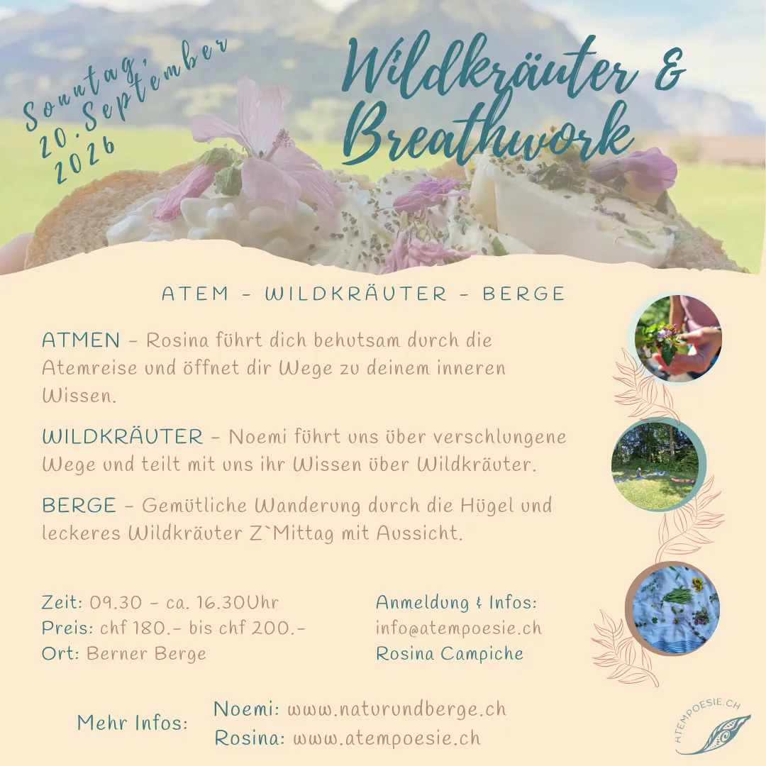 Wildkräuter & Breathwork