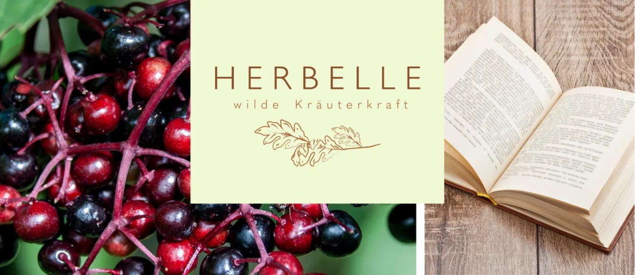 Kindermärchen - Zauber im Holunderstrauch