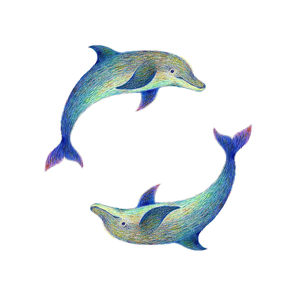 Circle Songs – Improvisation im Kreis