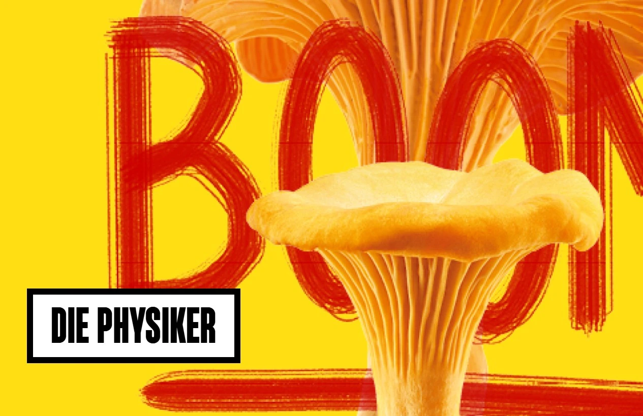 Die Physiker