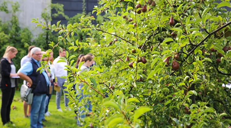 Naturexursion durch Humbel's Obstgarten