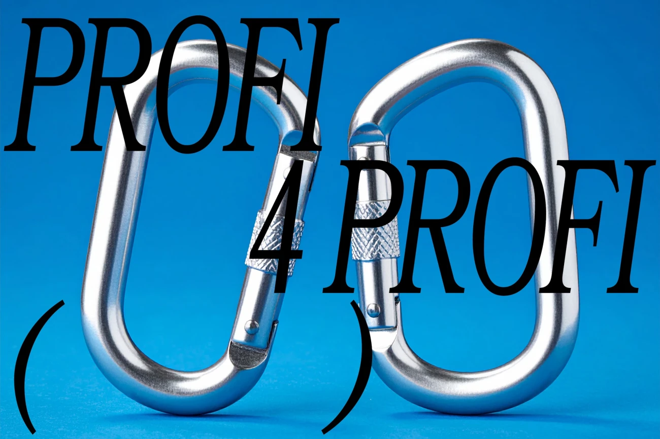 PROFI4PROFI – Masterclasses für Kulturschaffende