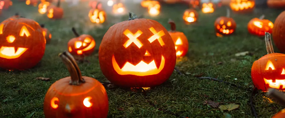 🎃 Pumpkin Light Night 🎃