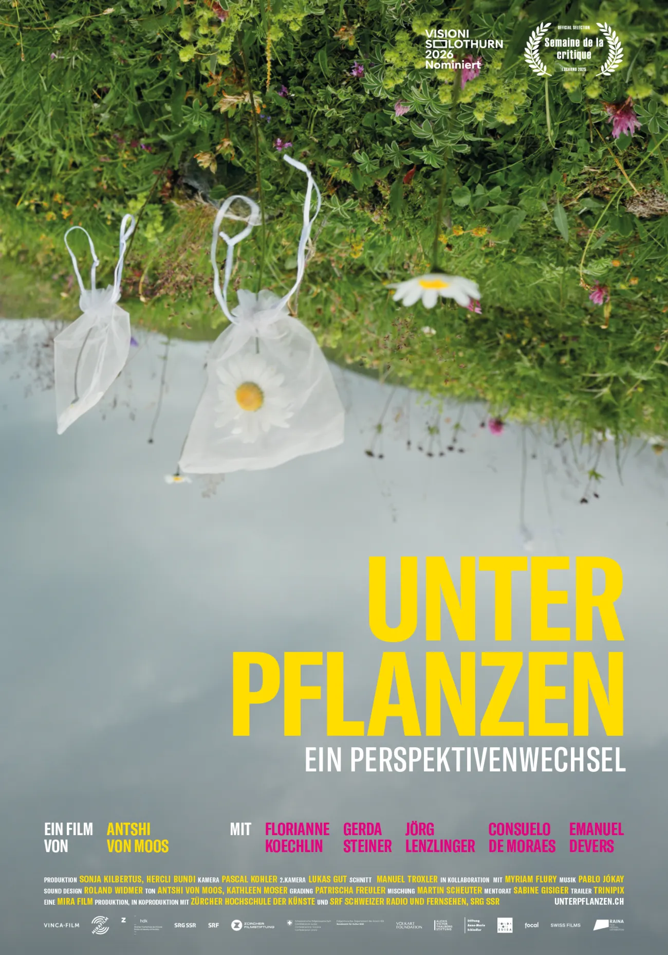 Kino-Special UNTER PFLANZEN - EIN PERSPEKTIVENWECHSEL