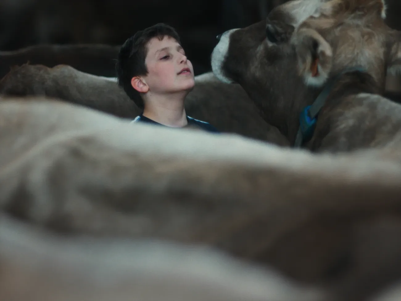 Filmprogramm der 10. Zuger Filmtage: Gabin